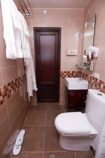 Фото номера Стандартный двухместный номер с 1 кроватью Отель Best Western Plus Paradise Hotel Dilijan г. Дилижан 7