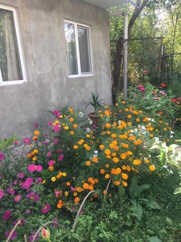 Фото номера Дом для отпуска Дома для отпуска Guest House Usanoghakan г. Дилижан 38