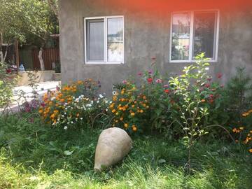 Фото номера Дом для отпуска Дома для отпуска Guest House Usanoghakan г. Дилижан 37